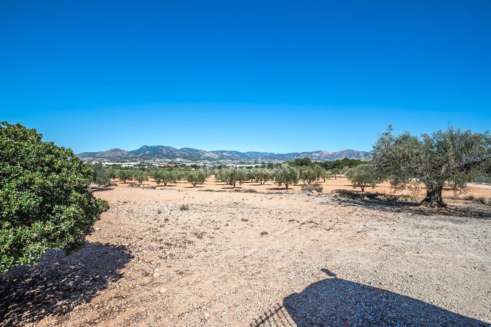 Finca