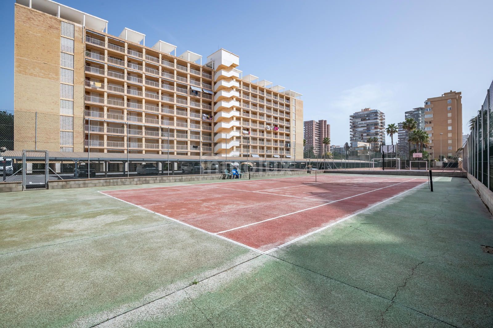 Tenis Tenis