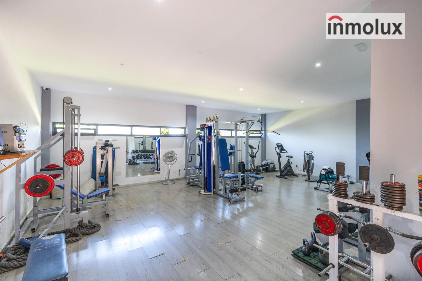 Gimnasio